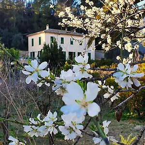  Séjour à la campagne Sa Maniga Espagne
